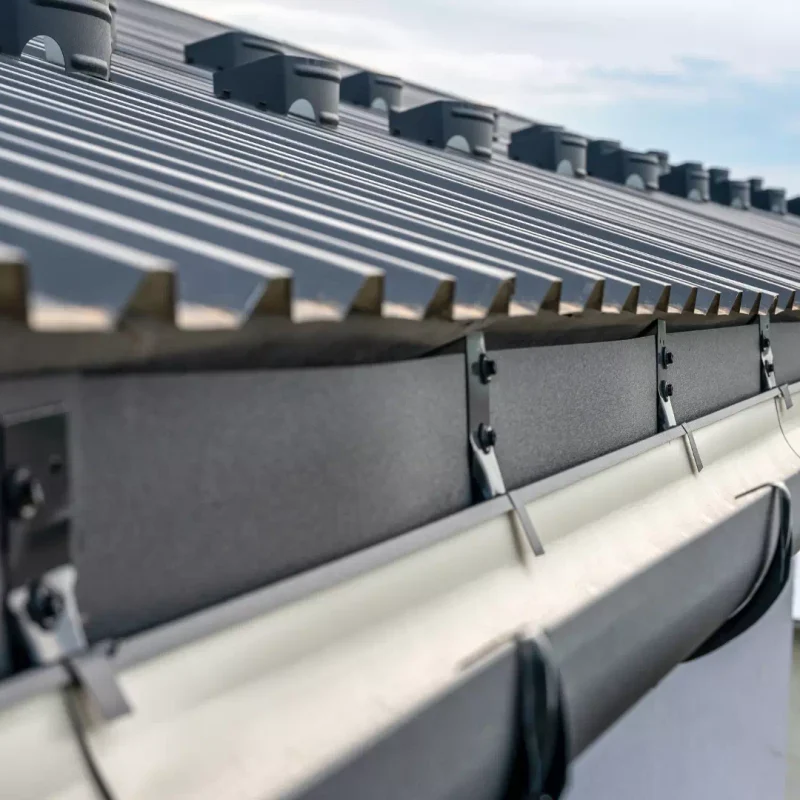 illustration-garreau (1)