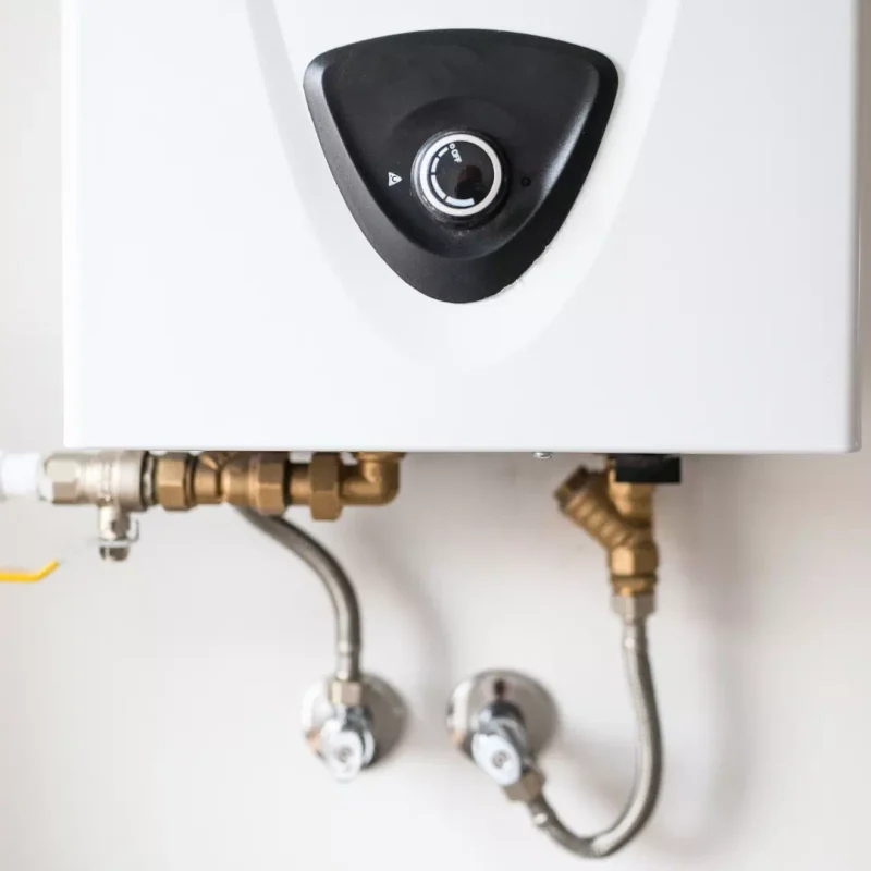 illustration-garreau (11)