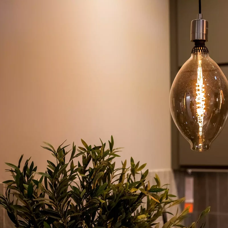 illustration-garreau (19)