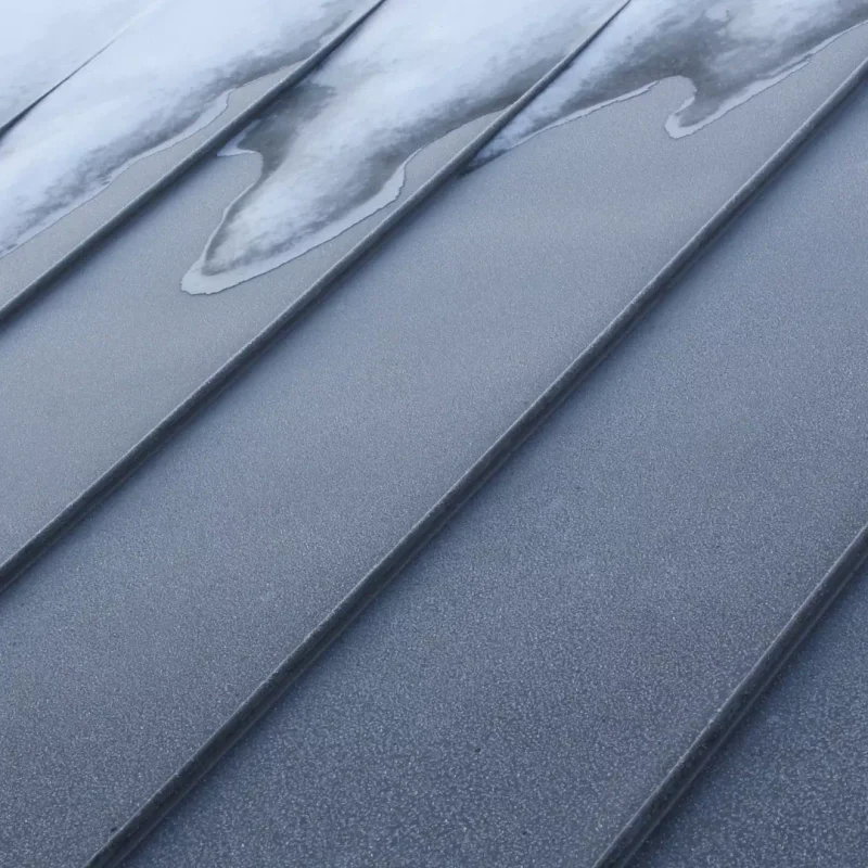 illustration-garreau (2)