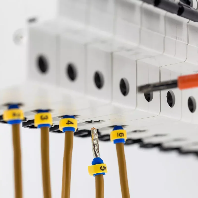 illustration-garreau (20)