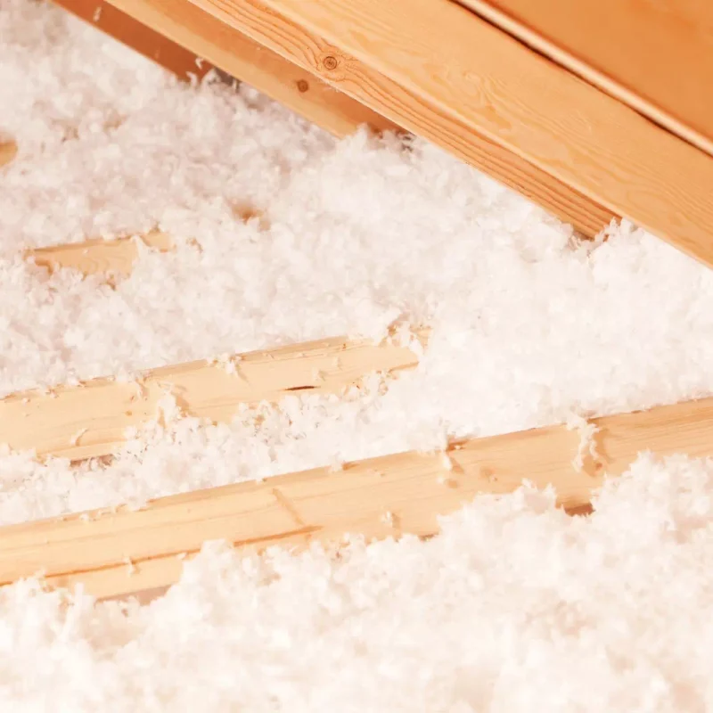 illustration-garreau (6)